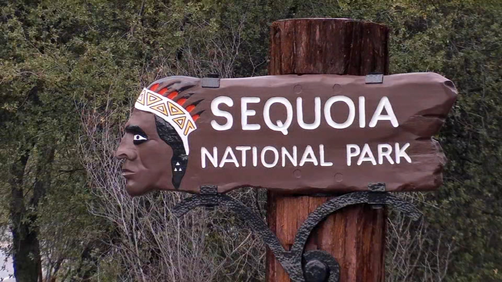 Search continues for missing woman swept away in Sequoia National Park