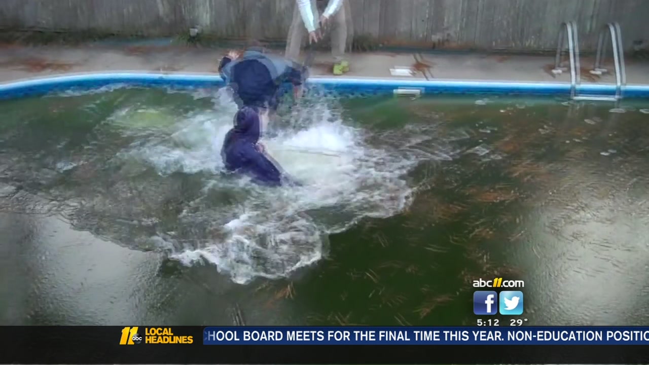 run my pool run my pool