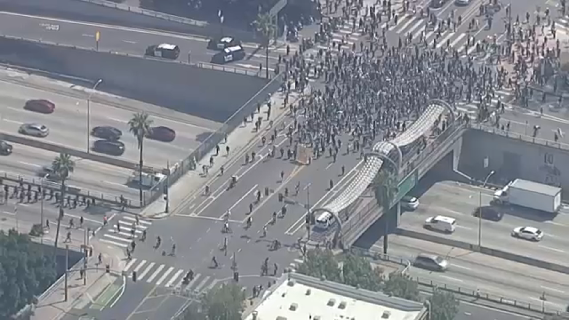 President Trump and Gov. Newsom clash over immigration protests - ABC30  Fresno