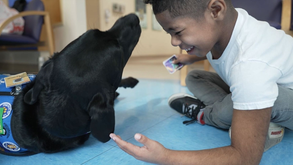 For young patients, therapy dogs are an Rx for the hospital jitters