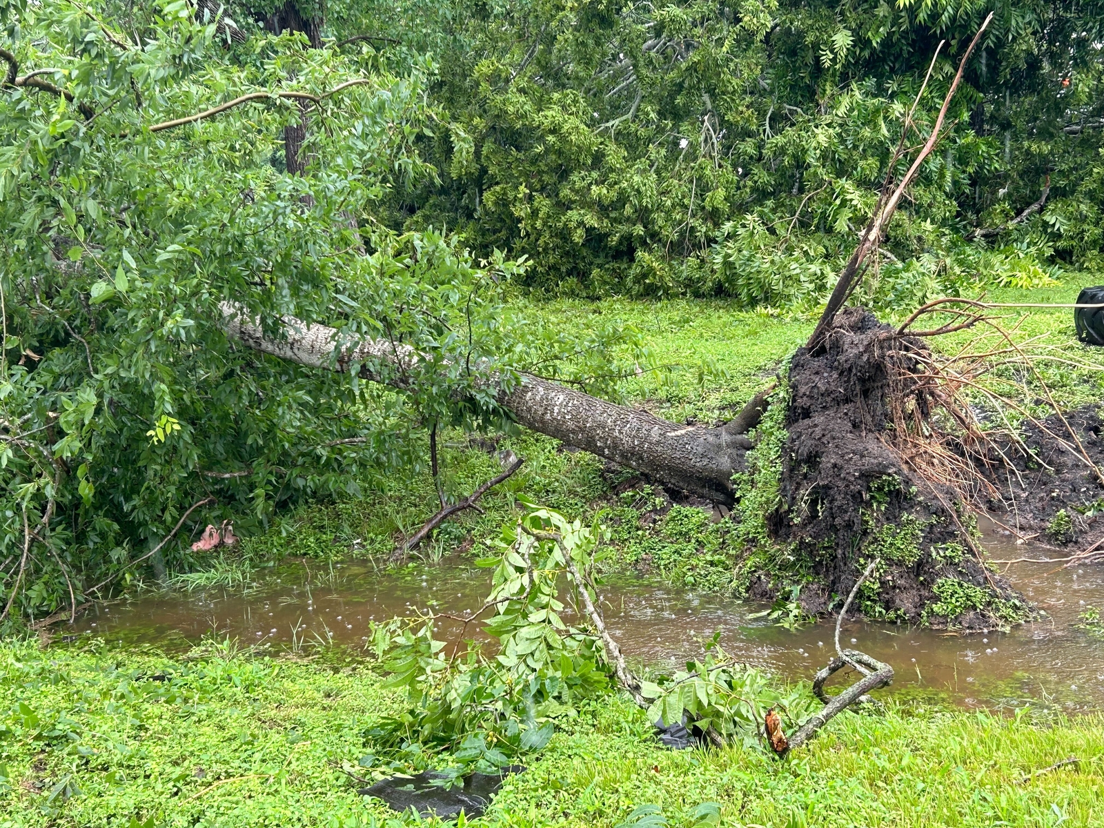 Two Tornadoes Cause Extensive Damage in Wharton County Texas