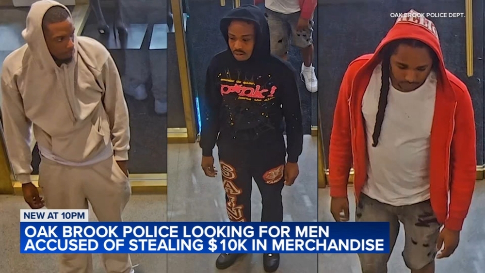 Suspects steal nearly $10K in merchandise from suburban Alo: police