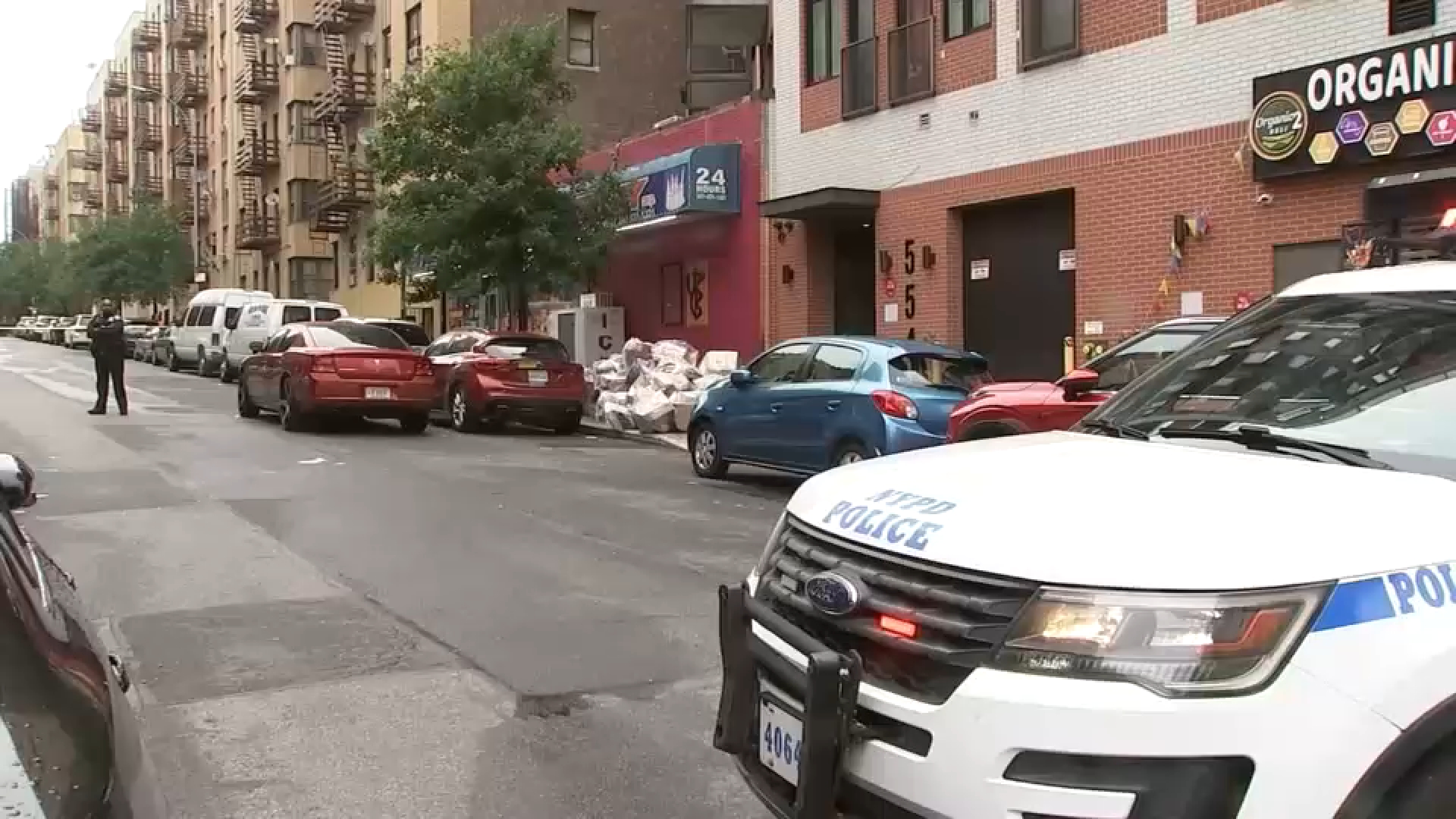 Police search for suspect who shot and killed man in the Bronx