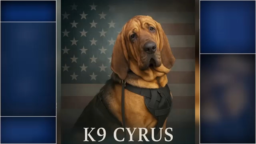 Person Co. sheriff's office mourning death of K-9 officer