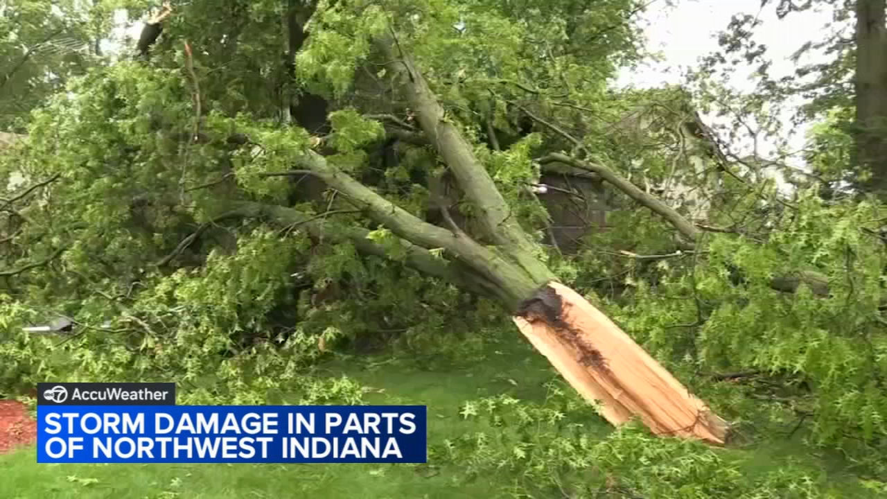 Strong storms bring heavy rain, high winds, damage to parts of area