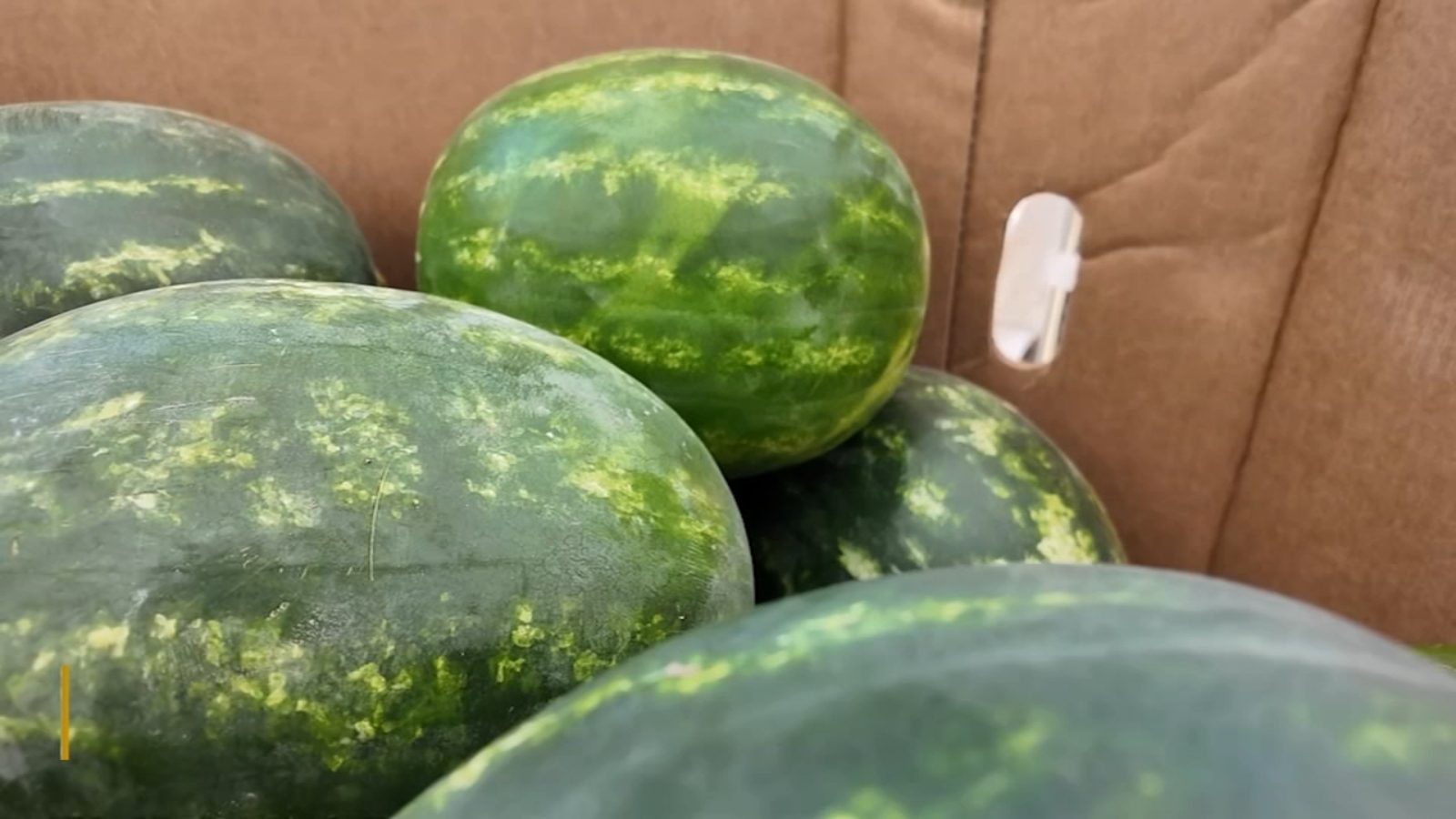 Ag Watch: Dicky Don Watermelons in Sanger
