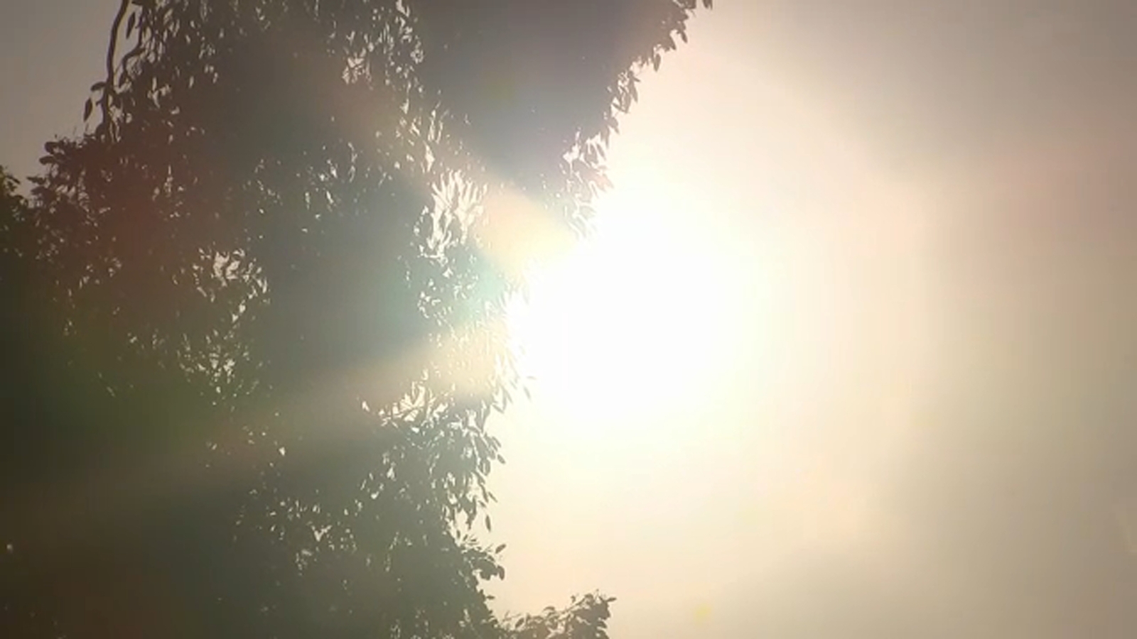 California launches new weather tracking system to rank the severity of extreme heat