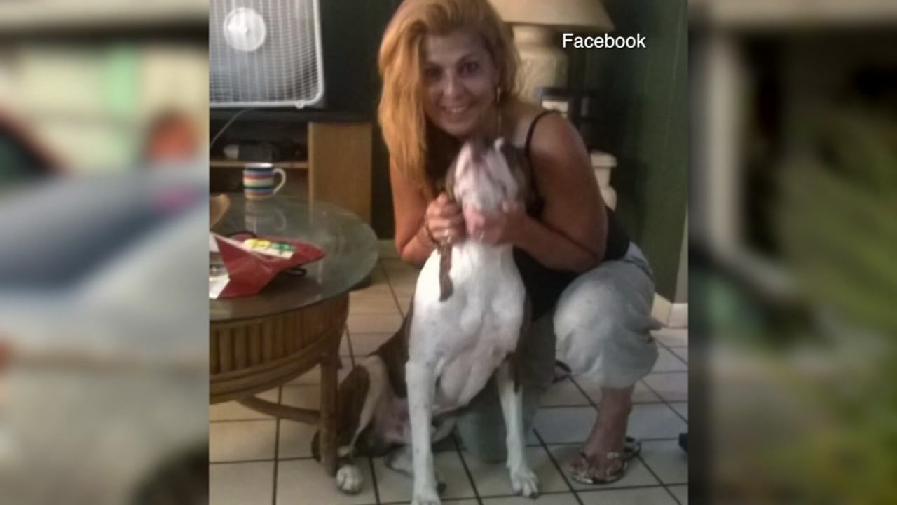 Dog mauls owners after they tried to put sweater on him
