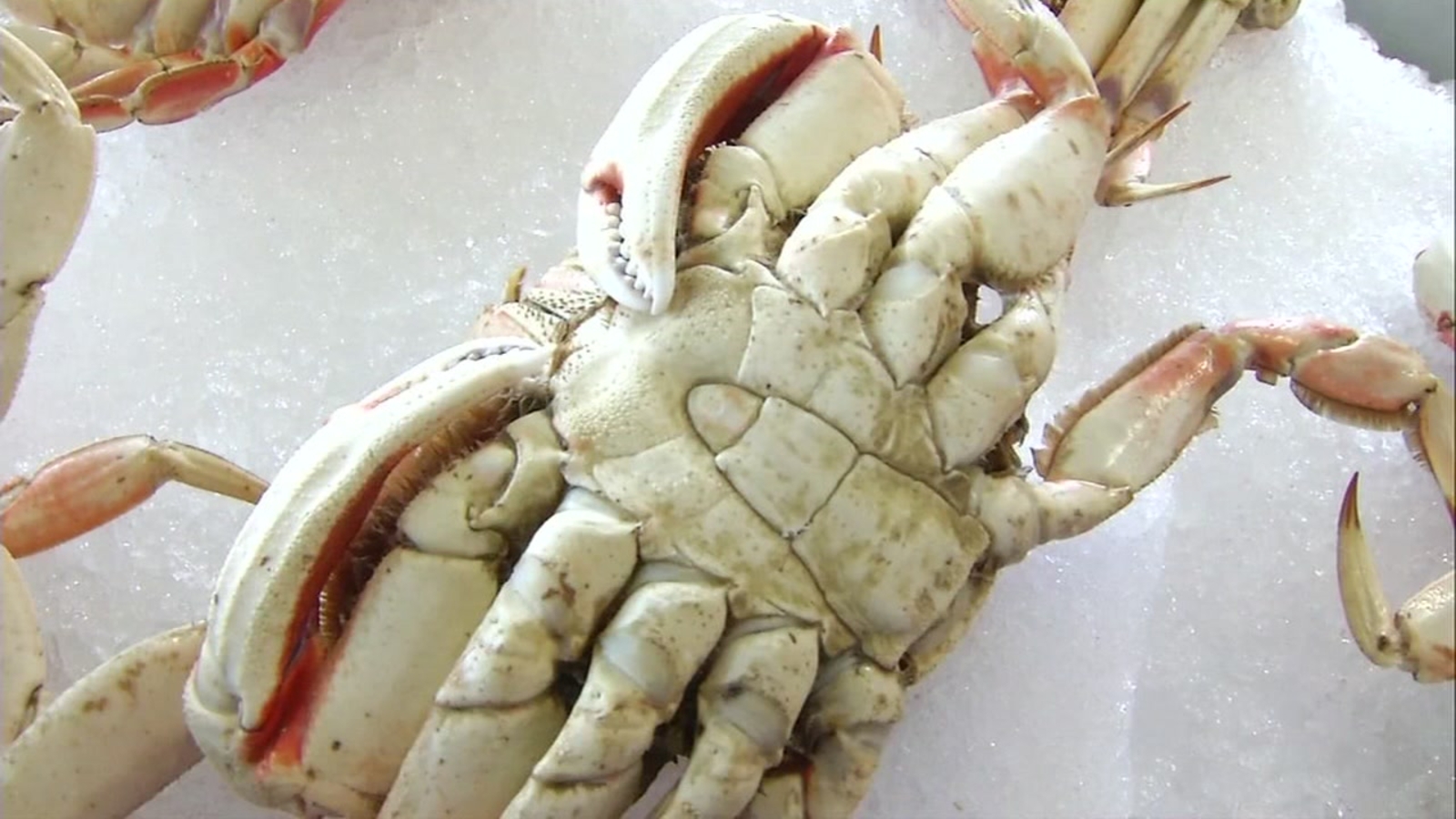 San Francisco crab fisherman continue West Coast strike ABC7 San