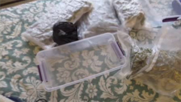 Woman finds pot instead of toys in delivery