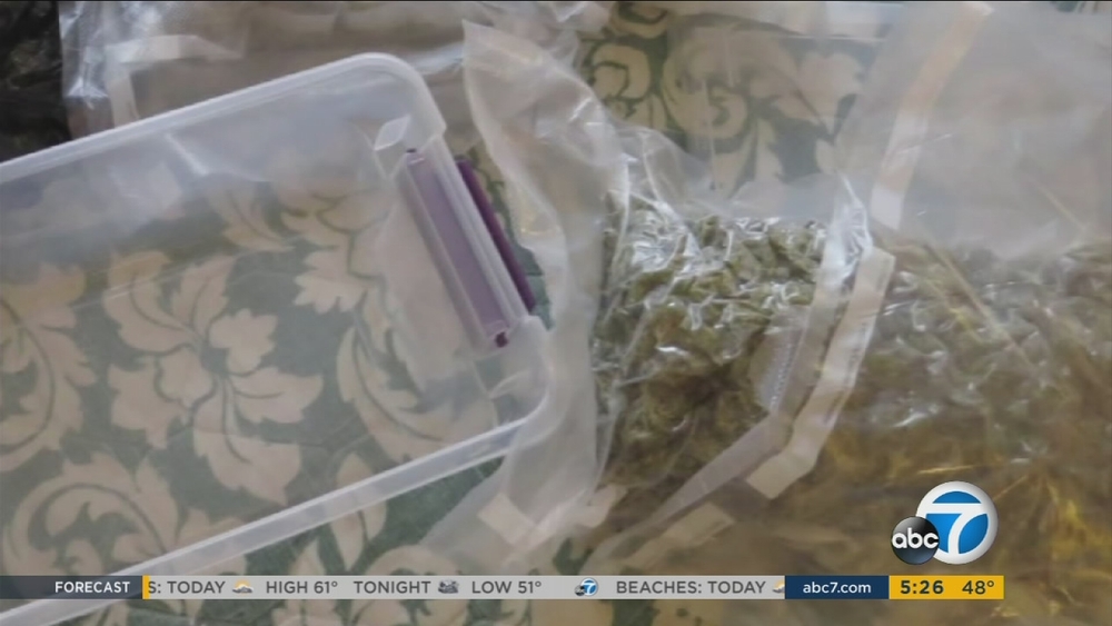Santa Monica-based toy company ships pot to NY woman