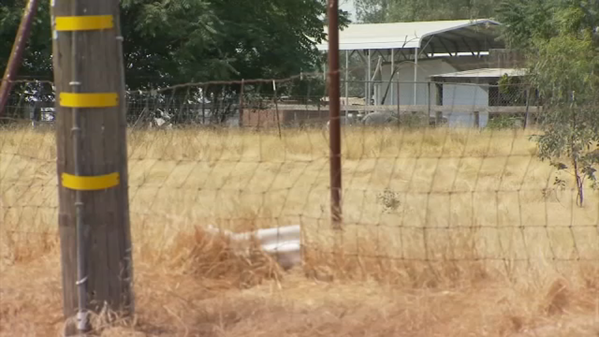 12 year-old boy suffers life-altering injuries from illegal firework