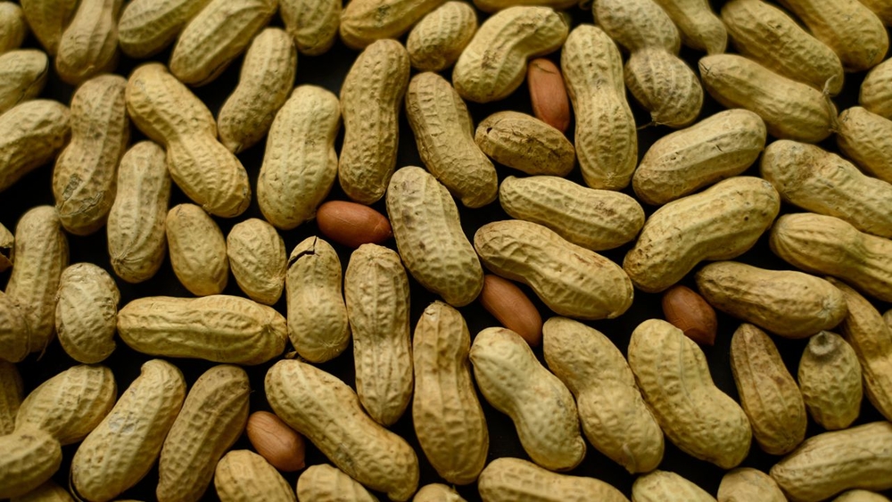 New guidelines regarding peanut allergies