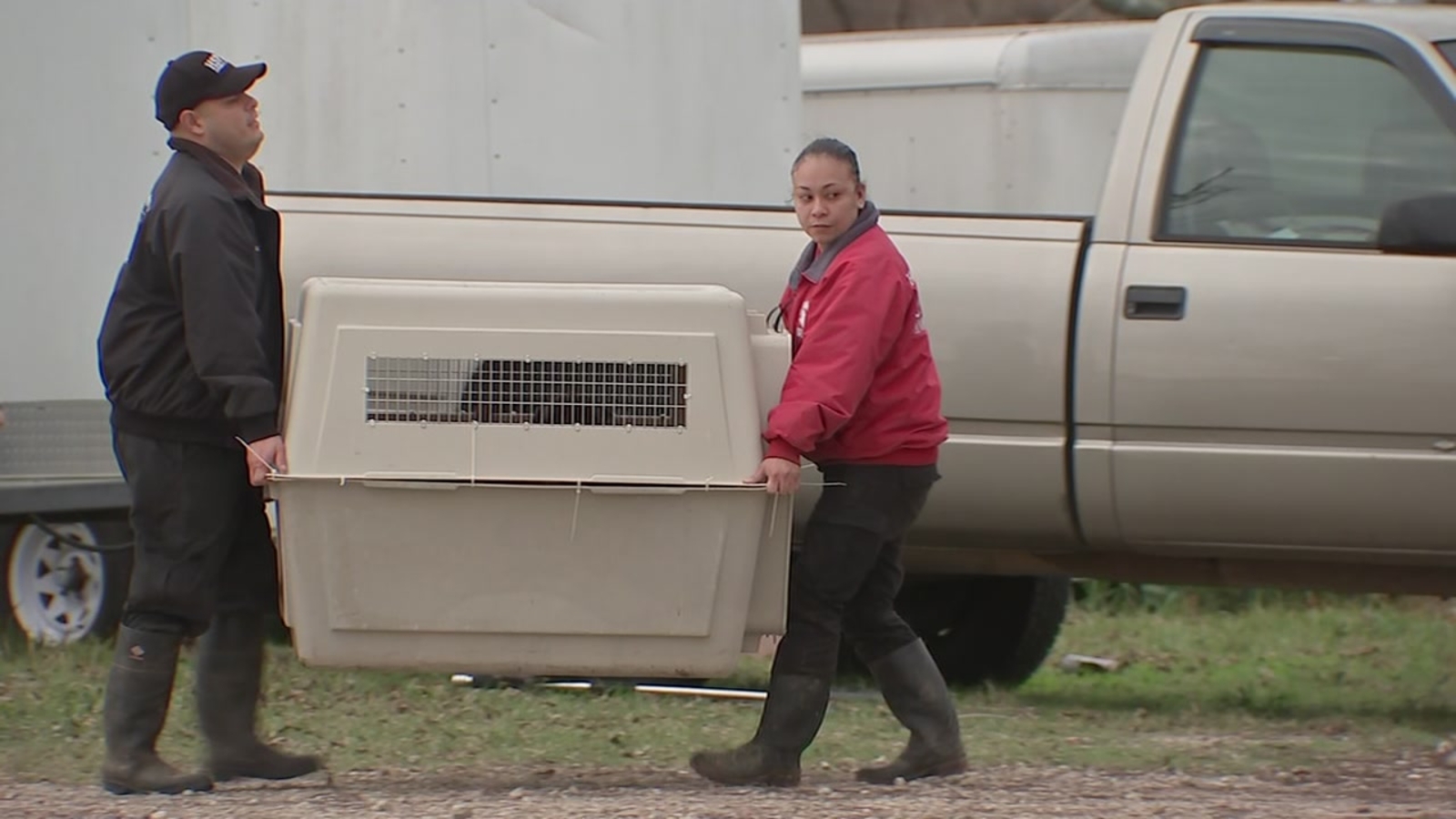 Animal Shelter Jobs Dayton Ohio