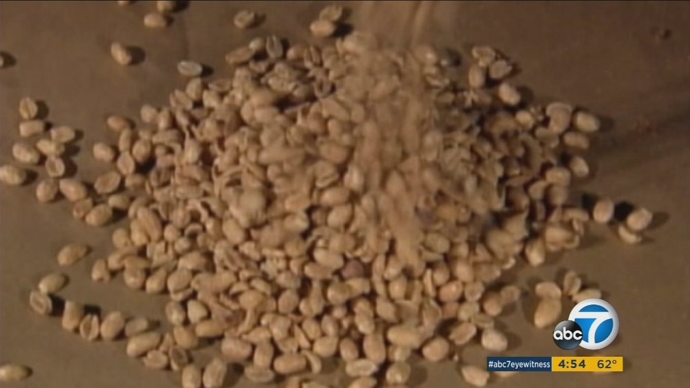 New research upends traditional thinking on children's peanut allergies