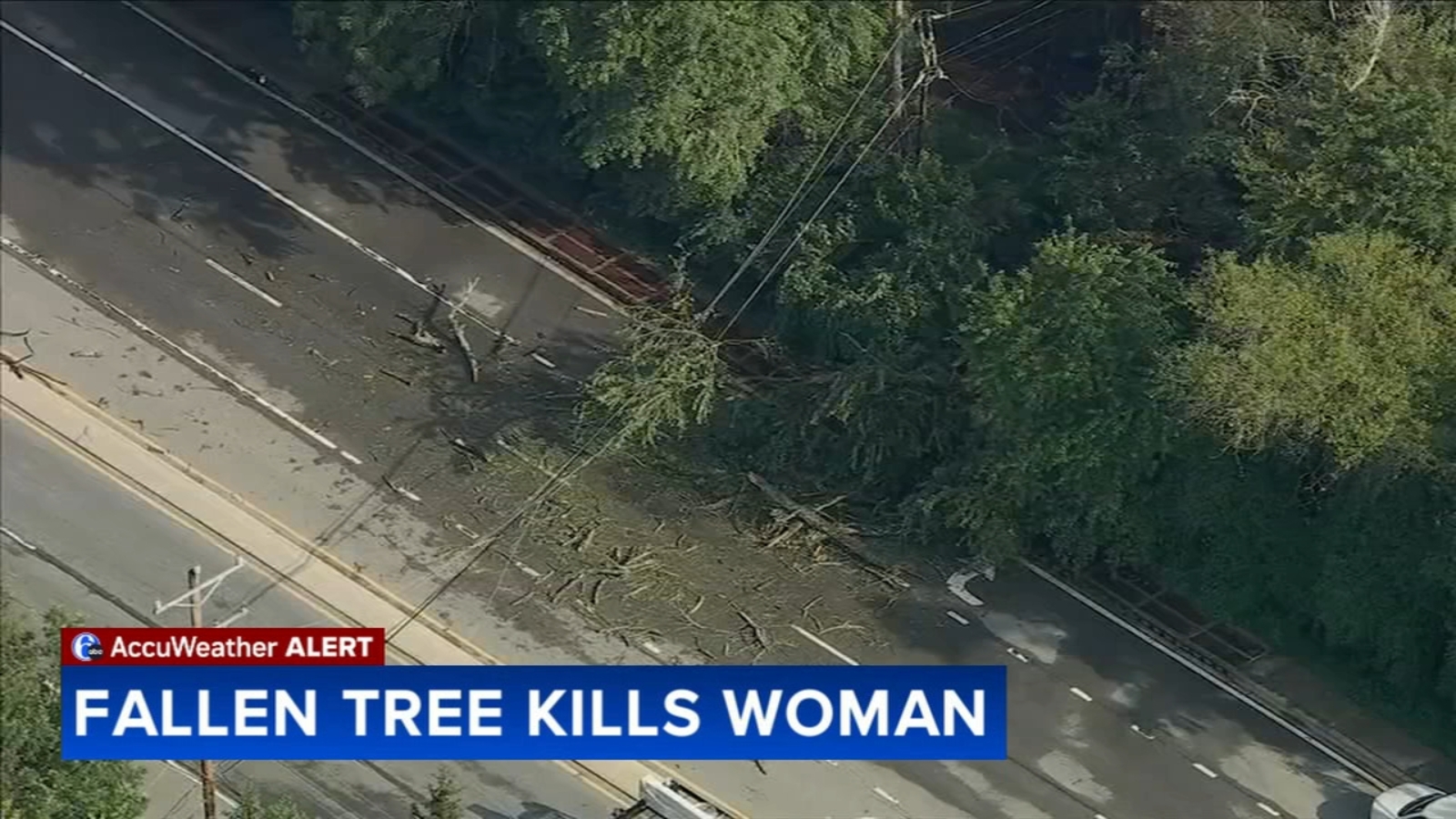 Woman killed after SUV hits fallen tree during severe storms in ...