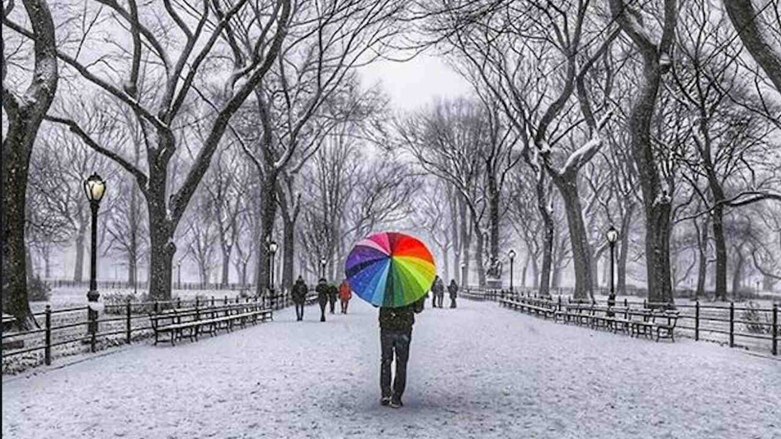 PHOTOS Weekend snowstorm ABC7 New York