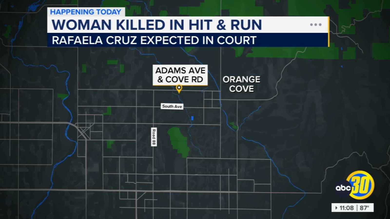 Suspect in deadly hit-and-run in Fresno County makes 1st court appearance