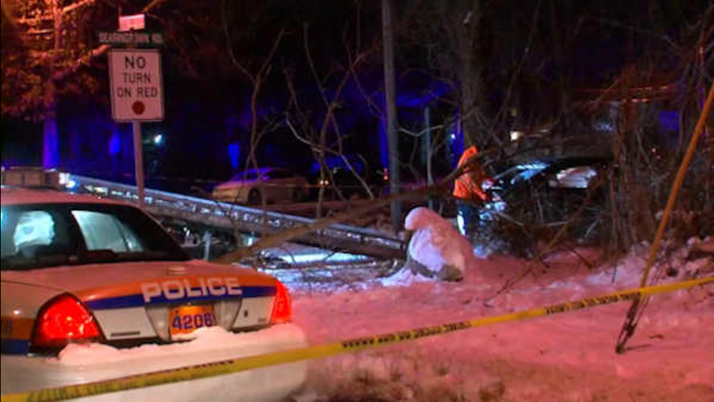 3 dead after car plunges into pond