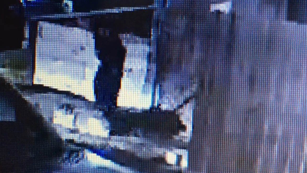 Houston Police officer attacked by police dog