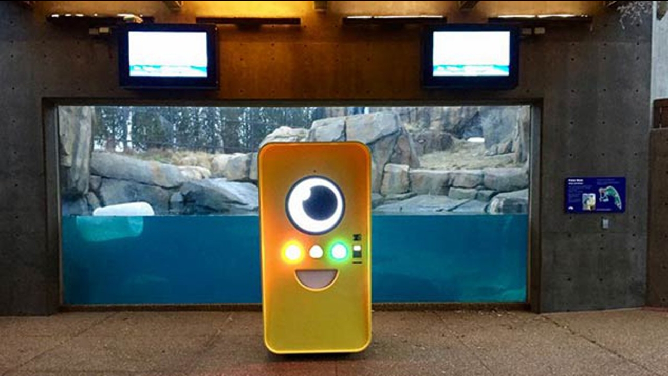 Snapchat glasses land at Chicago's Lincoln Park Zoo ABC7 Chicago