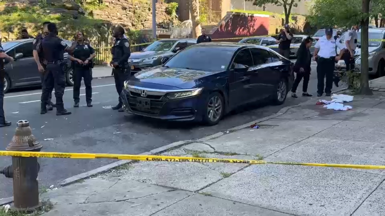 NYC Crime: Man shot in the neck near pool entrance in Crotona Park ...
