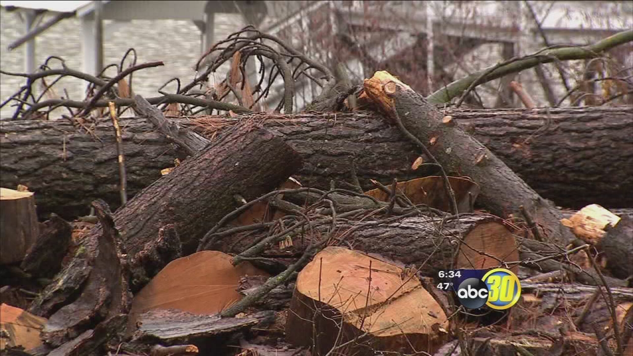 Dead tree problem in the Sierra has been turned into a hazard by storm