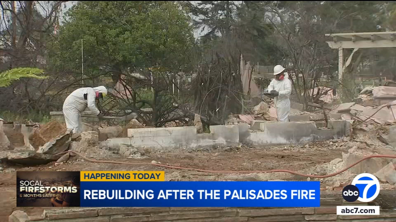 Signs of progress, recovery 6 months after devastating Palisades fires