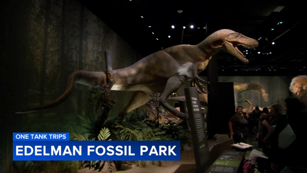 Edelman Fossil Park & Museum | One Tank Trips