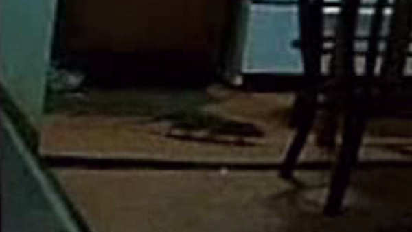 Inwood residents claim rats, mice, bed bugs infest building