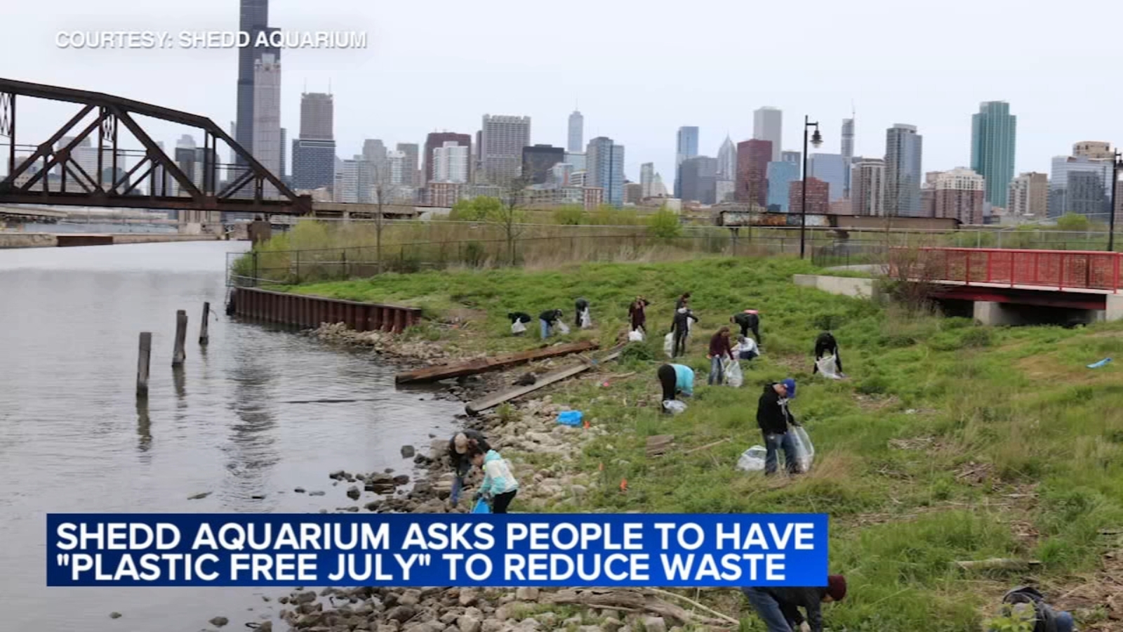 Stunning Reducing Aquarium Water Usage And Aquarium Waste Reduction image