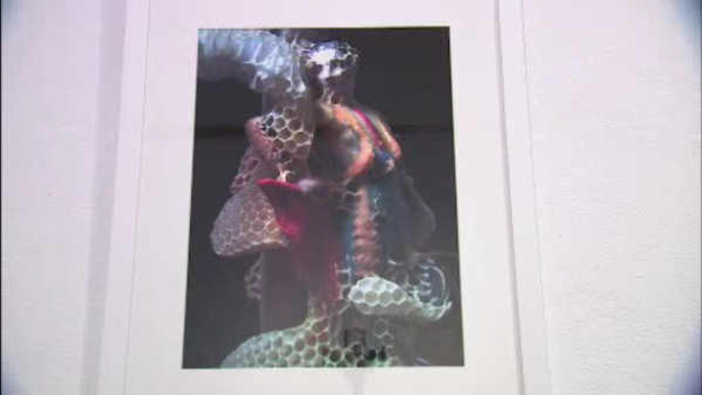 Animals help out on Tribeca art exhibit