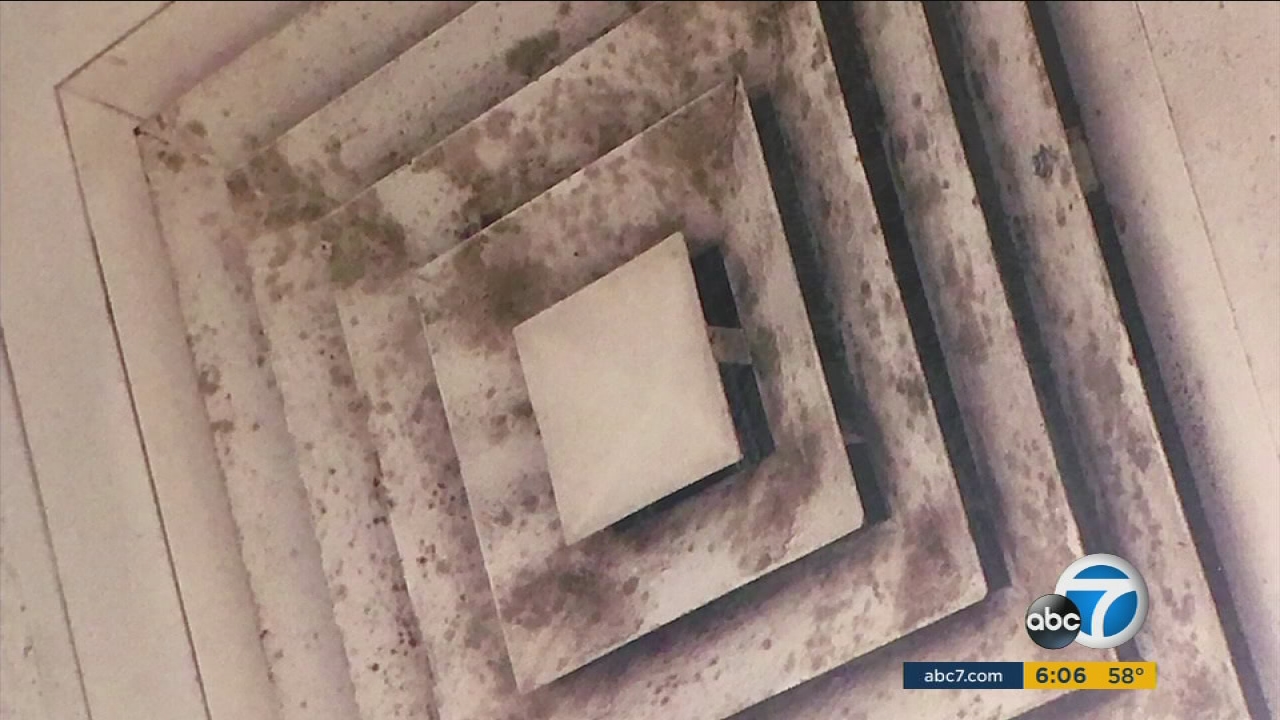 Mold in police station sickens up to 100 LAPD officers, union says