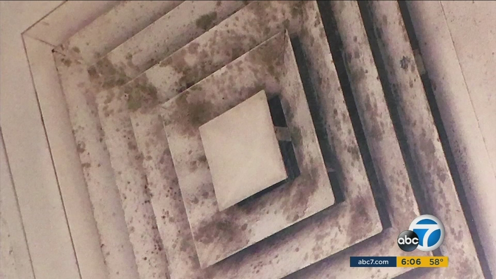 Mold in police station sickens up to 100 LAPD officers, union says
