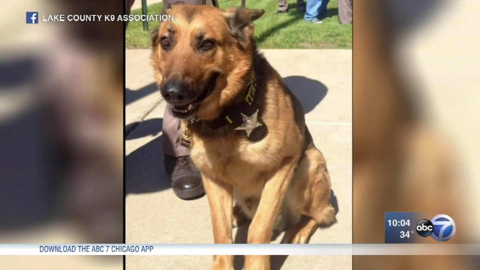 Suspect, police dog wounded in officerinvolved shooting in Gary ABC7