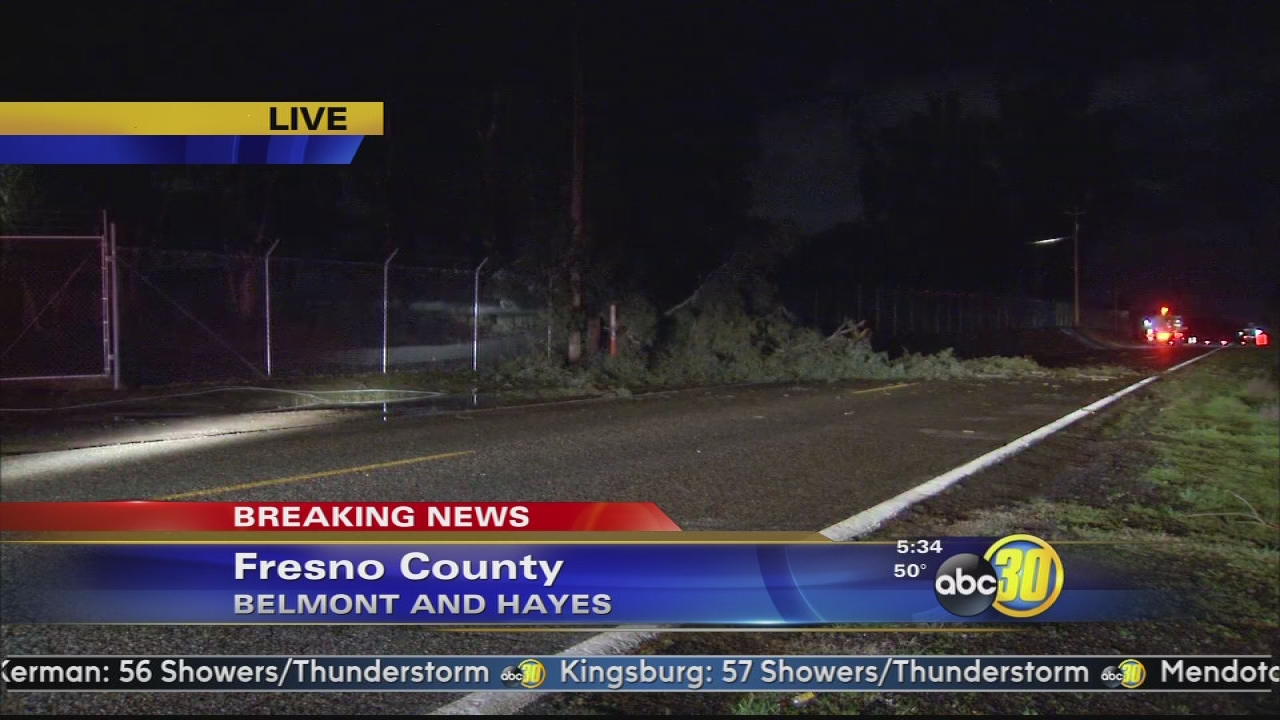 Belmont closed at Hayes due to a fallen tree