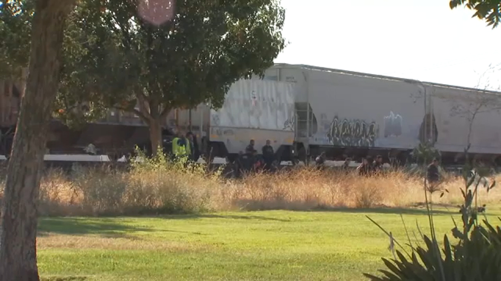 Woman hospitalized after being hit by train in Madera, police say