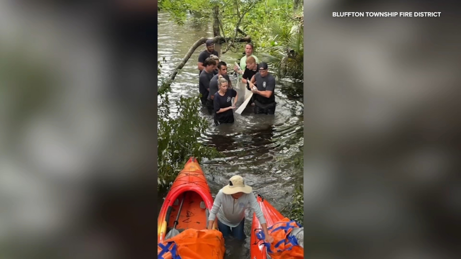 Stranded dolphin named 'Lucky' saved, released into deeper water in South Carolina