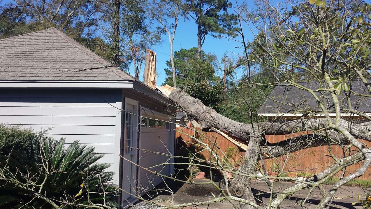 Tens of thousands without power as winds gust to 50