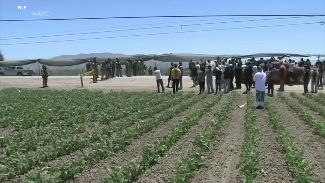New data found drop in CA labor workforce due to immigration enforcement
