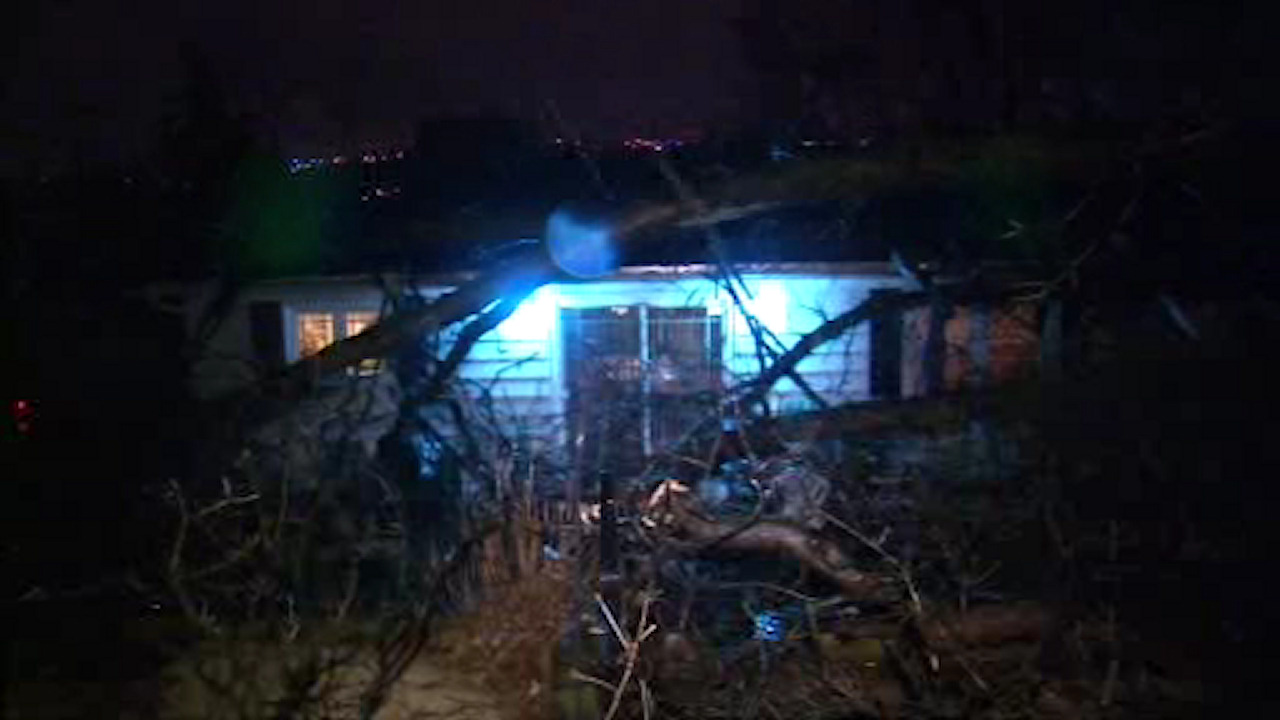 Nor'easter topples trees and brings heavy rain to New York area