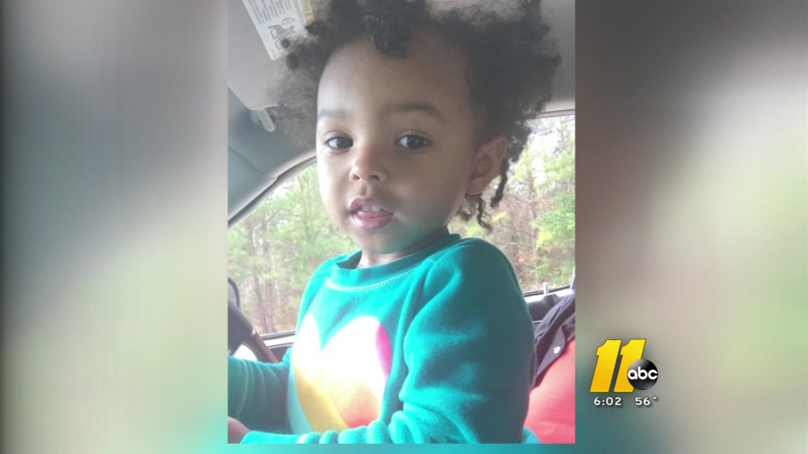 Fayetteville mom arrested after toddler found wandering streets - ABC11 ...