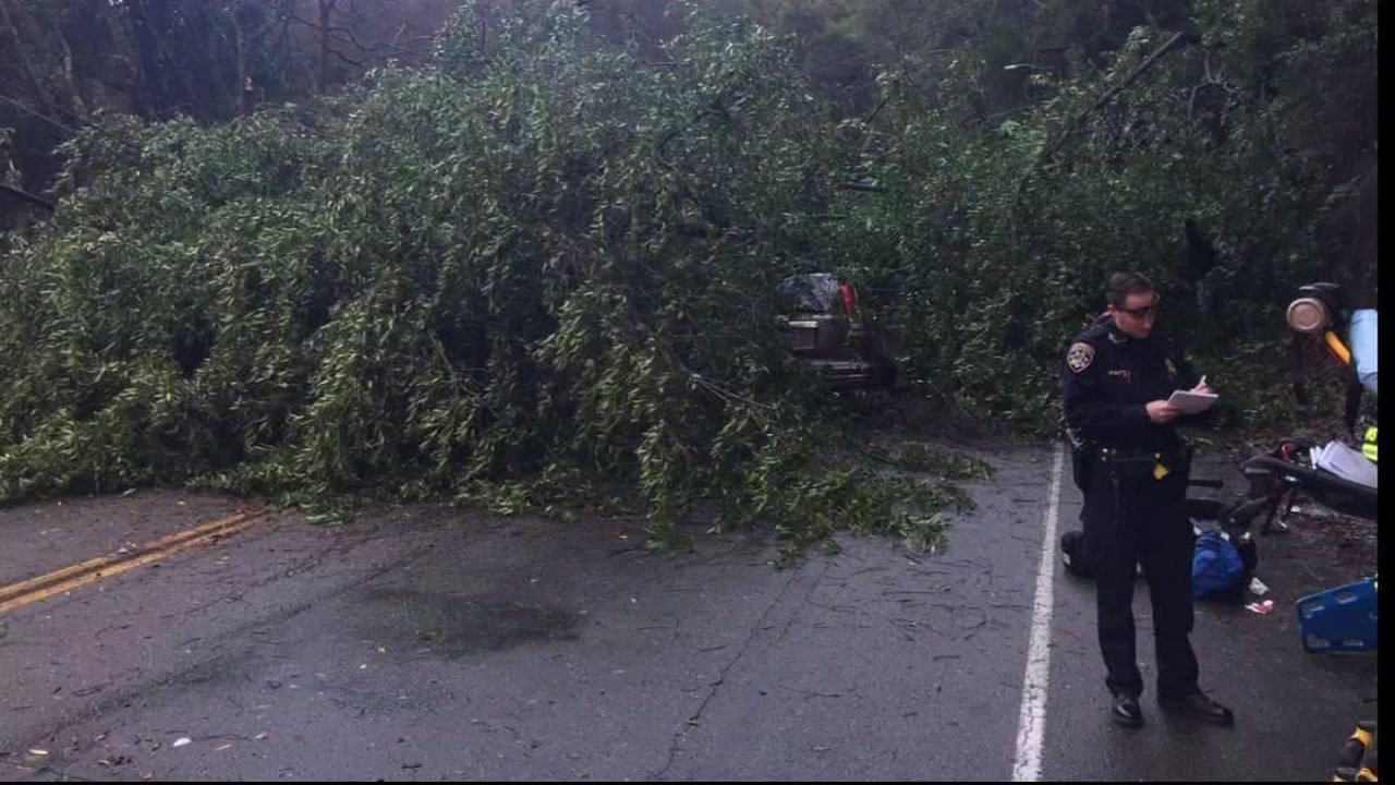 Fallen tree traps woman in car in Castro Valley