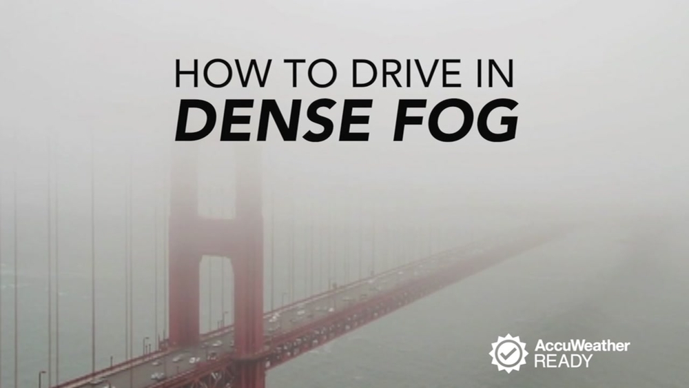 How to drive in dense fog