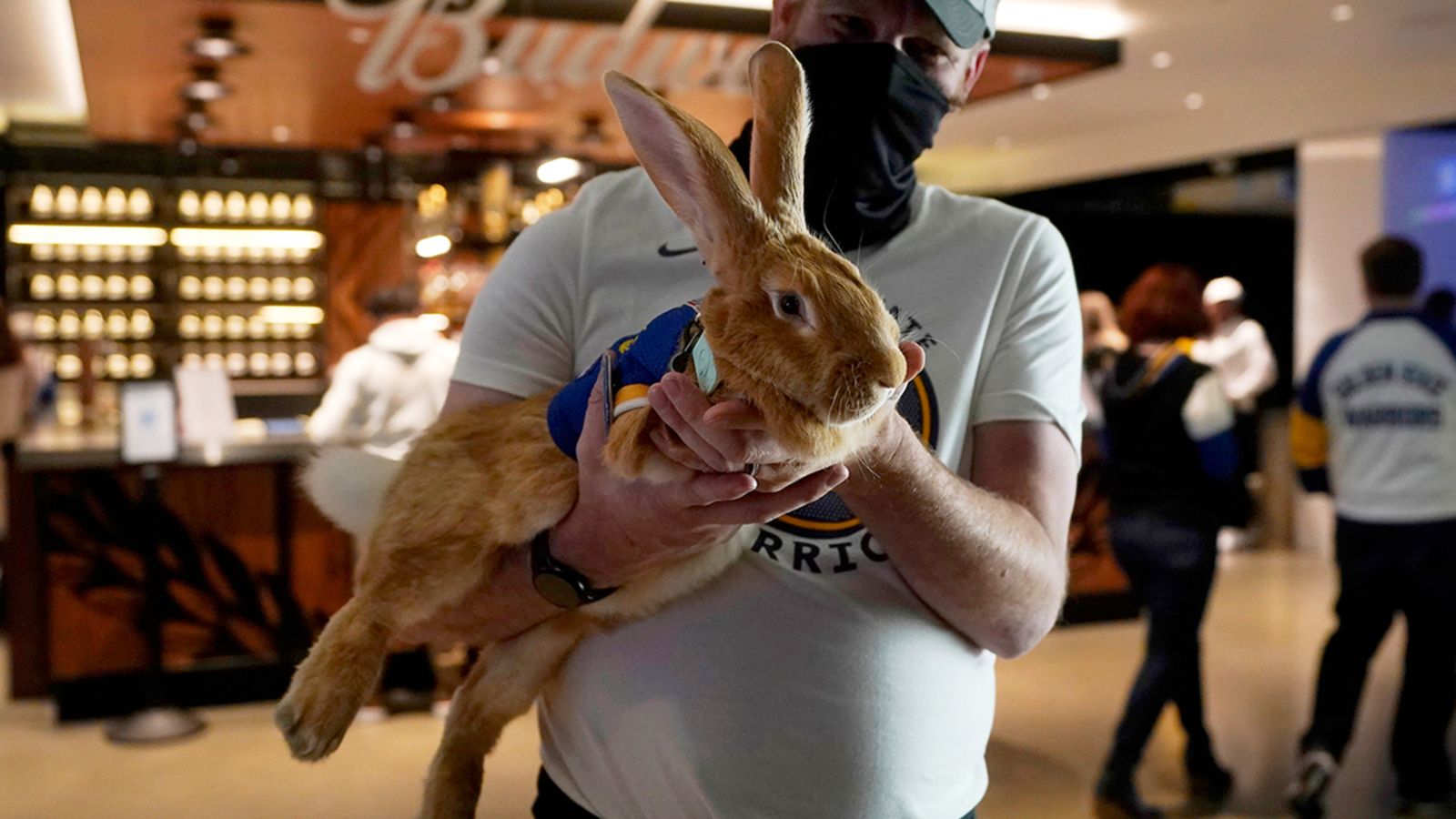 Beloved ballpark therapy bunny, Alex The Great, dies after complications from cancer