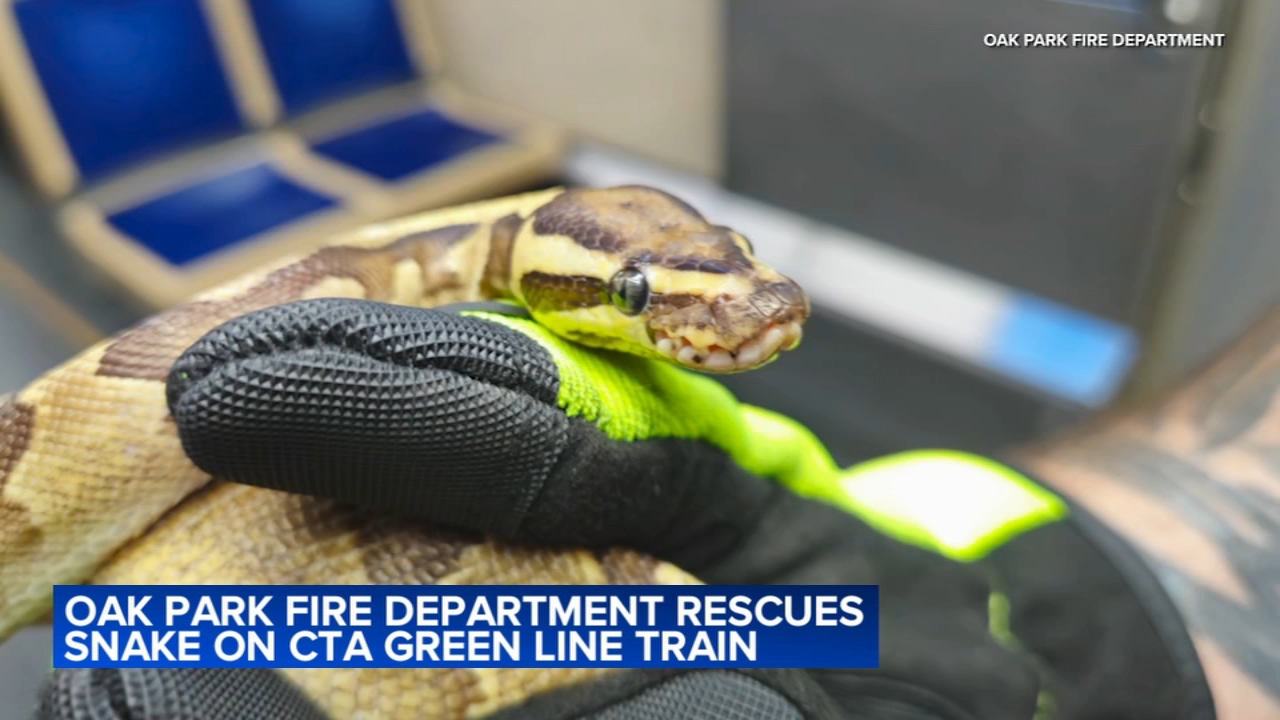 17240030_072225-wls-snake-cta-