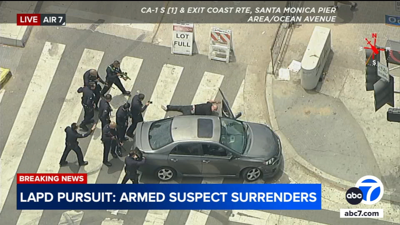 Driver, dog in custody after police chase ends near Santa Monica Pier