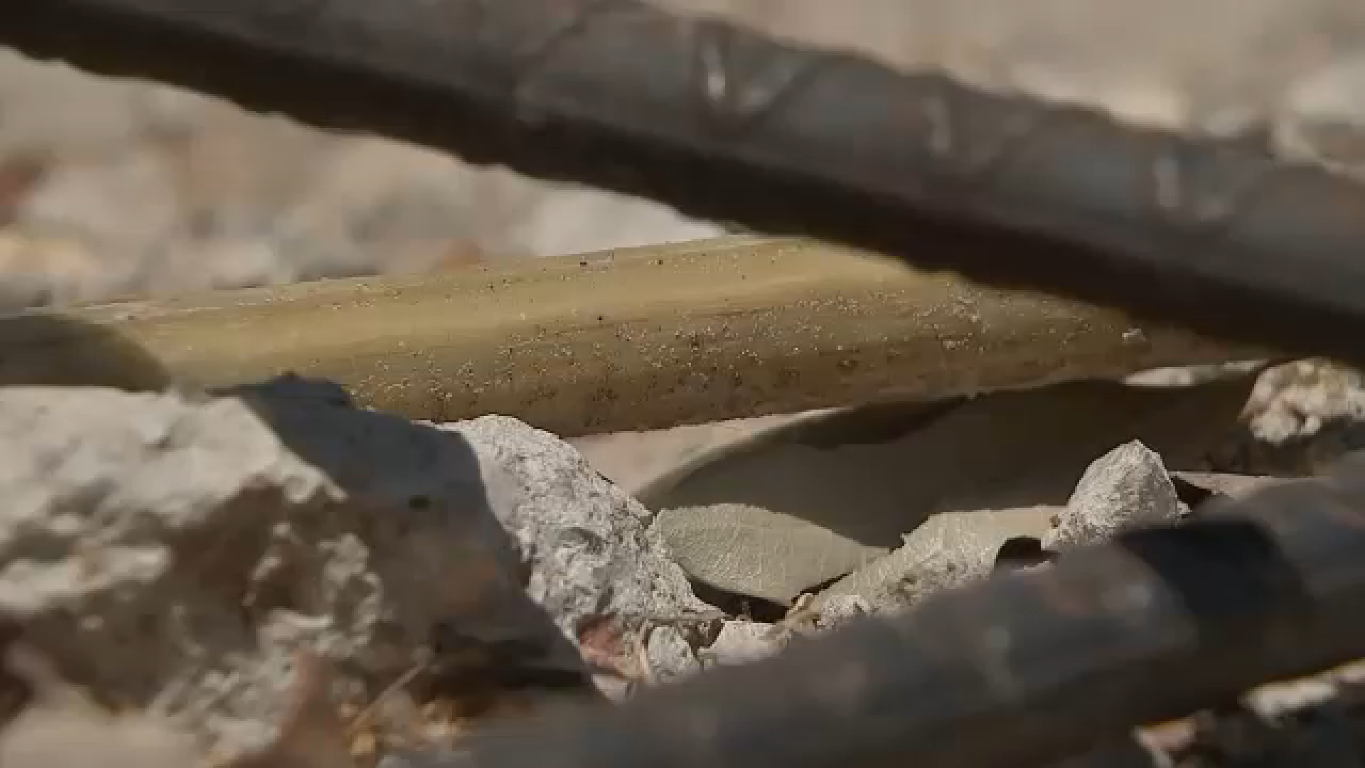 Materials used for Museum District sidewalk repairs raise questions