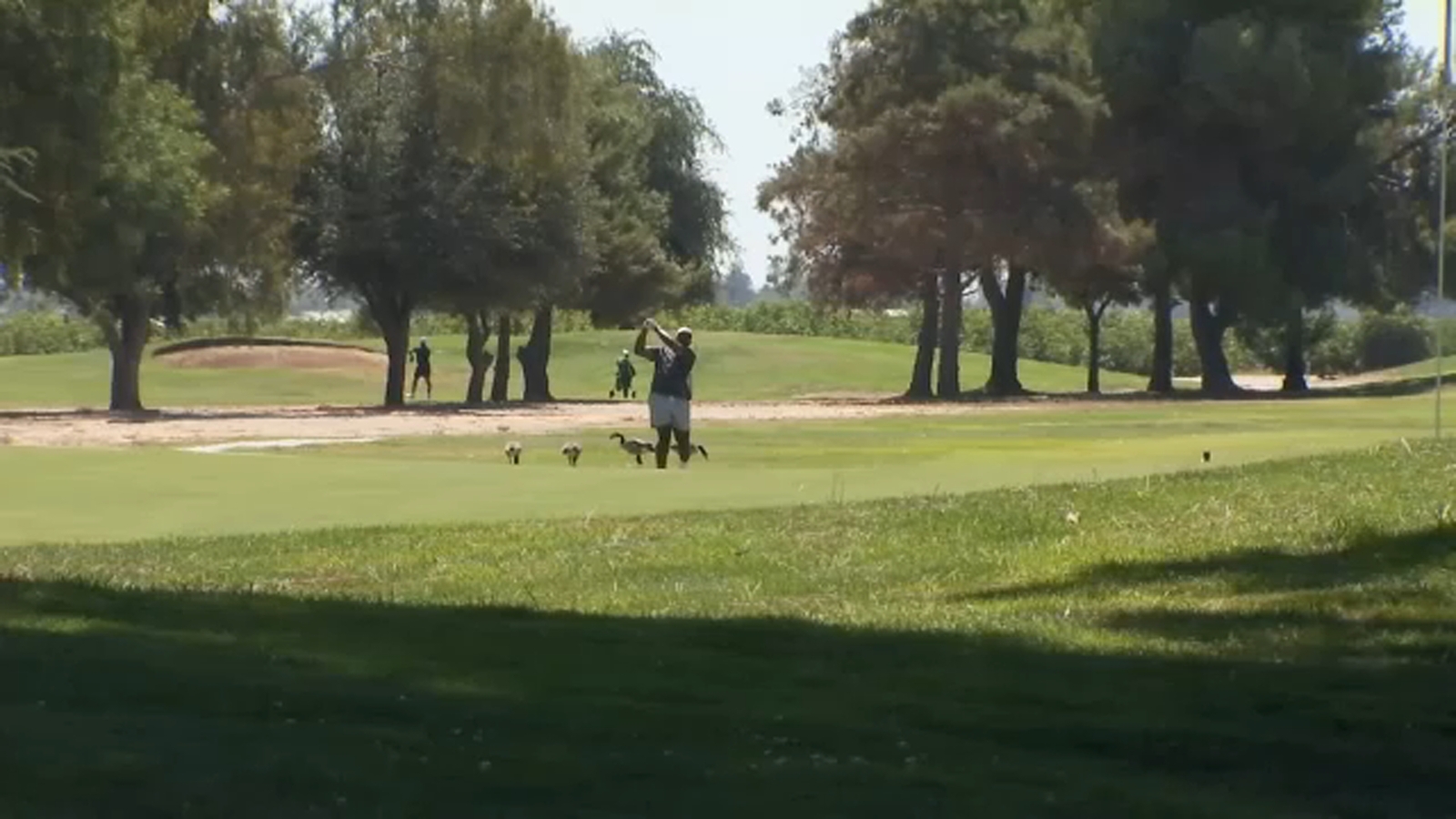 People, crops and livestock enjoying cooler July temperatures