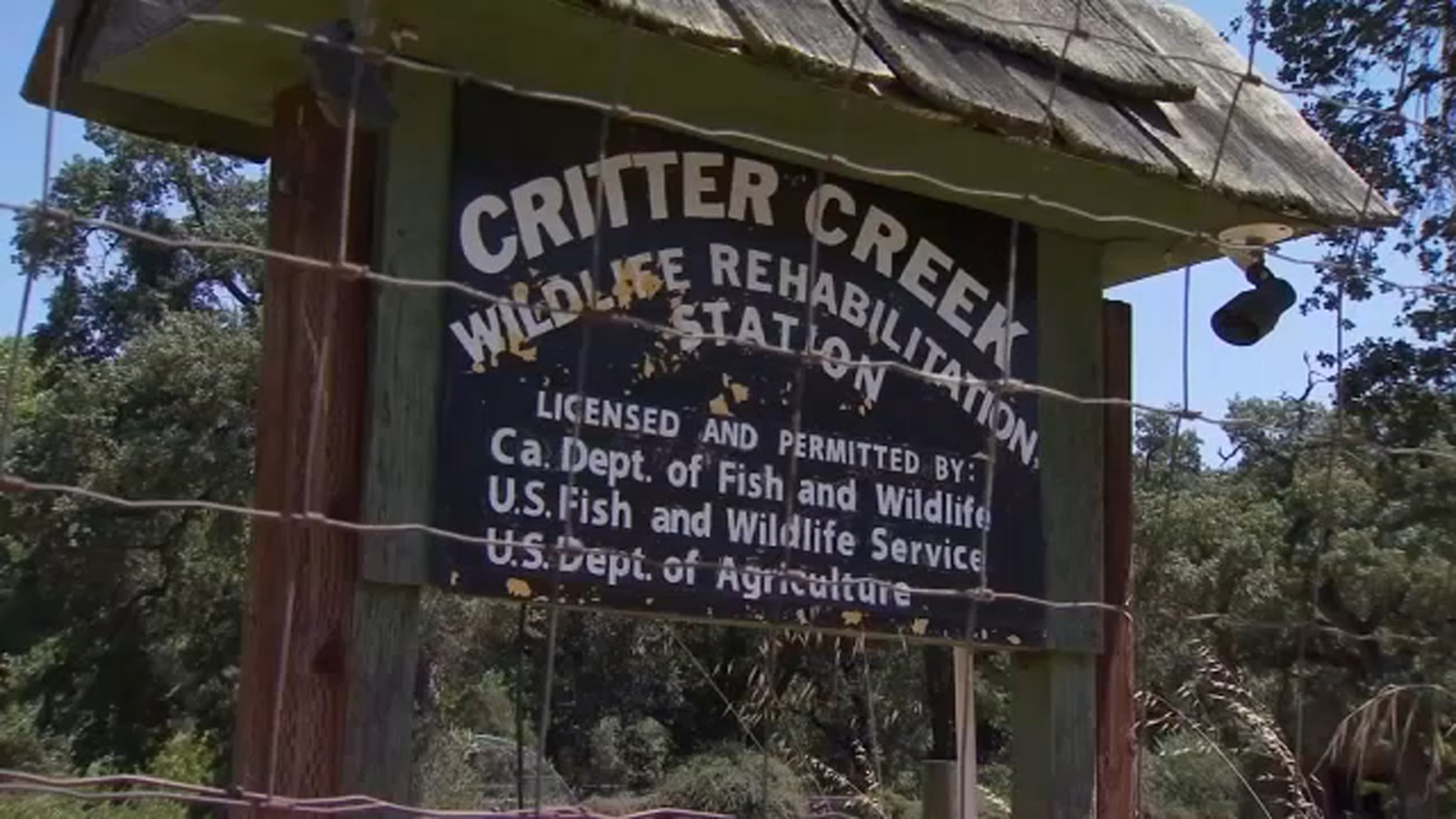 45 animals taken from Yokuts Valley wildlife rehabilitation center